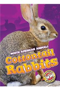Cottontail Rabbits