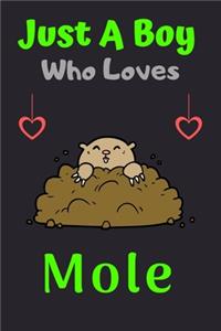 Just A Boy Who Loves Mole