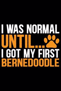 I Was Normal Until I Got My First Bernedoodle