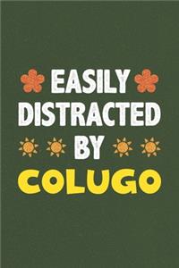 Easily Distracted By Colugo