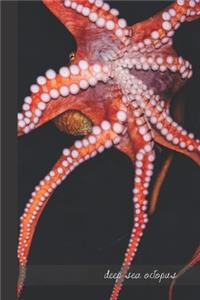 deep sea octopus