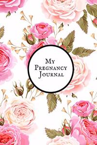 My pregnancy Journal
