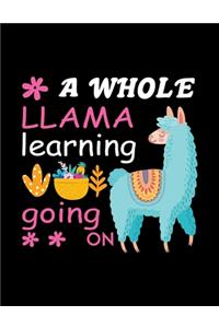 A whole llama learning going on