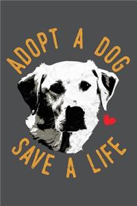 Adopt A Dog Save A Life