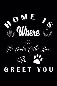 Home is where the Border Collie to Greet you