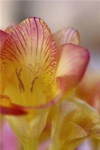 Freesia Notebook