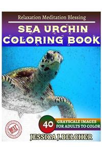 SEA TURTLE Coloring book for Adults Relaxation Meditation Blessing