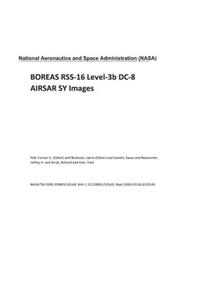 Boreas Rss-16 Level-3b DC-8 Airsar Sy Images