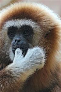 Monkey Notebook - Journal Gift for Cute Animal Lovers