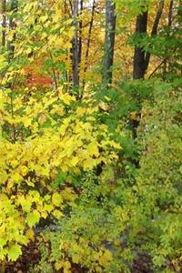 2019 Daily Planner Fall Season Yellow Leaves 384 Pages
