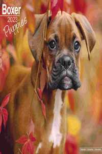 Boxer Puppies 2023 Wall Calendar