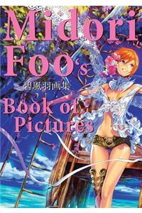 Midori Foo's Book of Pictures