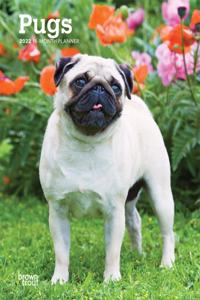Pugs 2022 Engagement