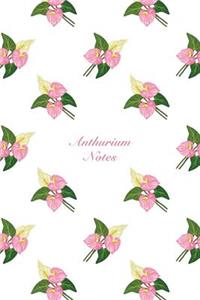 Anthurium Notes