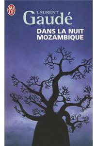 Dans la nuit Mozambique
