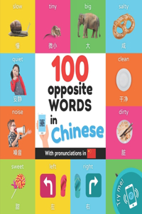 100 opposite words in chinese