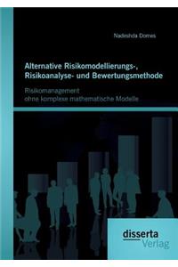 Alternative Risikomodellierungs-, Risikoanalyse- und Bewertungsmethode