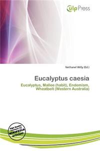 Eucalyptus Caesia