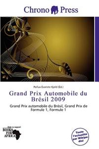 Grand Prix Automobile Du Br Sil 2009