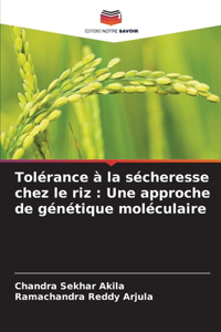 Tolérance à la sécheresse chez le riz