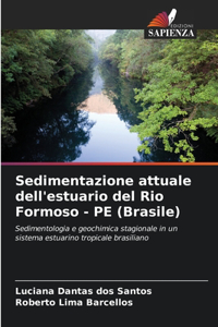 Sedimentazione attuale dell'estuario del Rio Formoso - PE (Brasile)