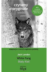 Bialy Kiel. White Fang