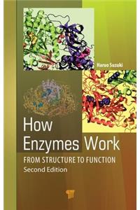 How Enzymes Work