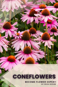 Coneflowers