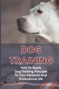 Dog Training