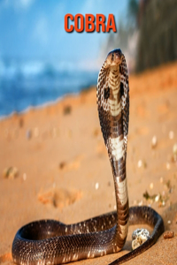 Cobra