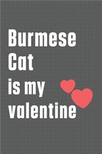 Burmese Cat is my valentine