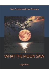 What the Moon Saw