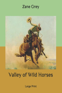 Valley of Wild Horses