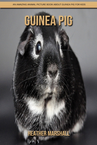 Guinea pig