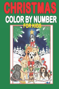 Christmas Color By Number For Kids