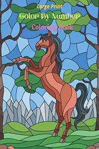 Large Print Color By Number Coloring Book