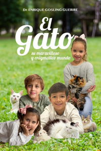 gato