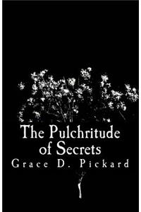 The Pulchritude of Secrets