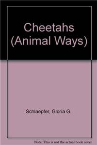 Cheetahs