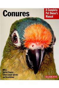 Conures Pom