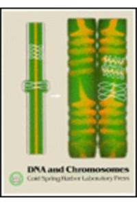 DNA and Chromosomes