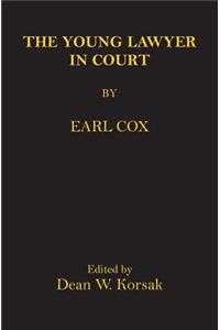 Young Lawyer In Court