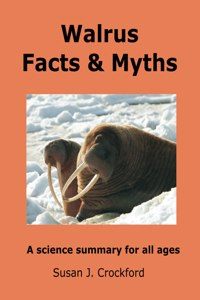 Walrus Facts & Myths