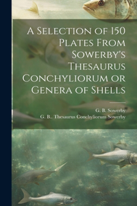 Selection of 150 Plates From Sowerby's Thesaurus Conchyliorum or Genera of Shells