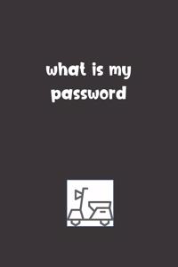 What is My Password