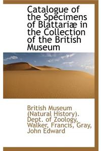 Catalogue of the Specimens of Blattari in the Collection of the British Museum