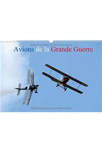 Avions de la Grande Guerre 2018