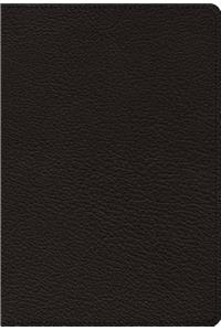 ESV Heirloom Single Column Personal Size Bible