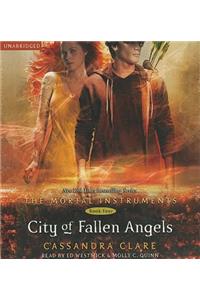 City of Fallen Angels