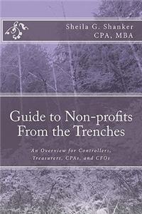 Guide to Non-profits- From the Trenches